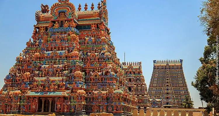 Private Tour vs Group Tour in India