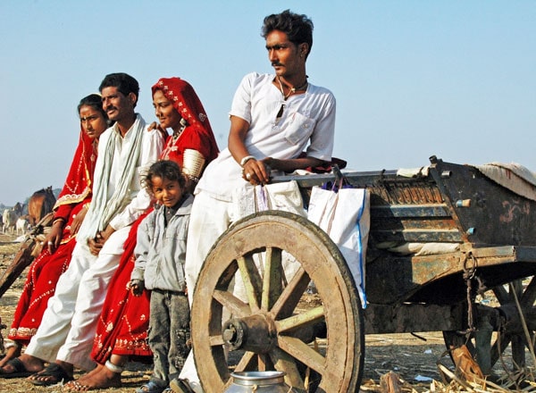 Luxury Special Interest Tours India | Custom Itineraries
