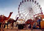 Rajasthan-pushkar-fair 1