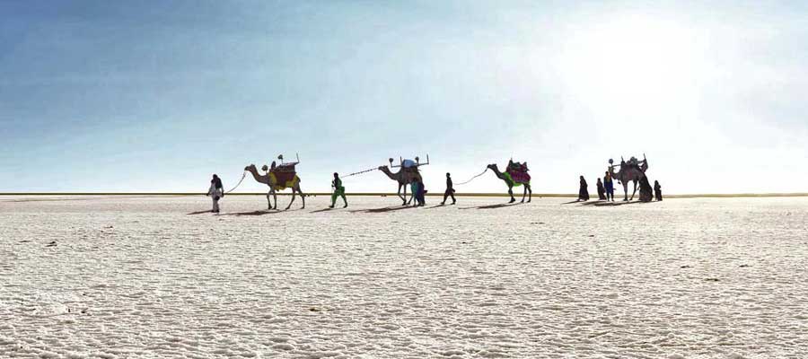 the-great-Rann-of-Kutch-tour