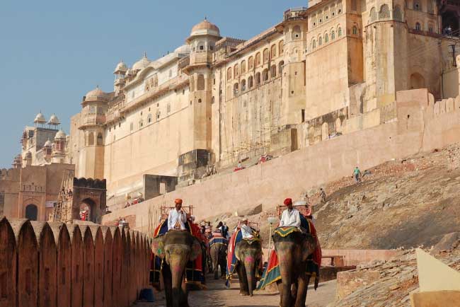 amber-amer-fort-and-palace