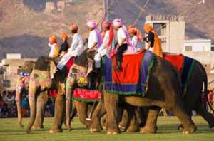 attend-an-elephant-polo-game-jaipur-india