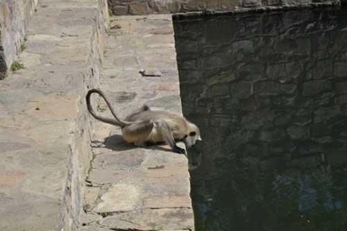 bhangarh-the-scary-land-of-rajasthan