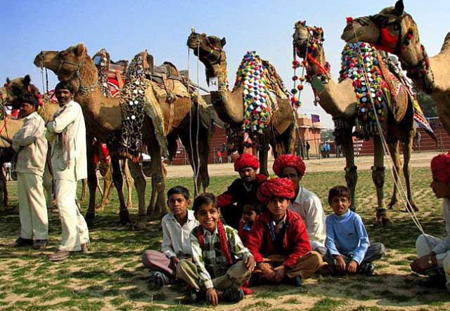 bikaner-camel-festival