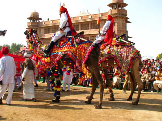 bikaner-camel-festival2