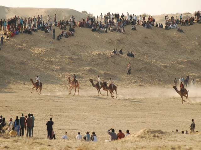 bikaner-camel-festival3