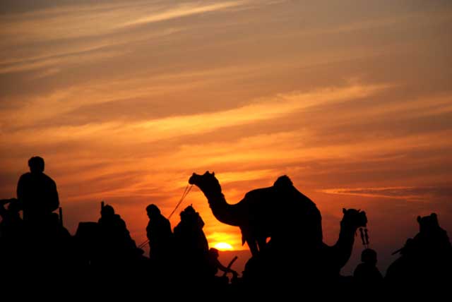 bikaner-camel-festival5