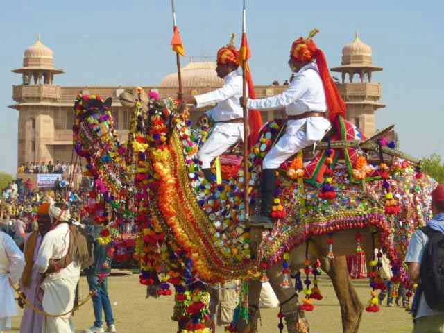 camel-fest-bikaner