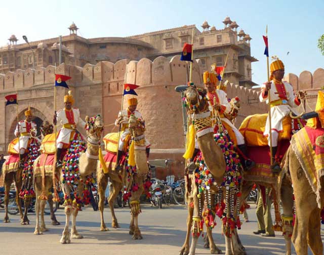 camel-festival-bikaner