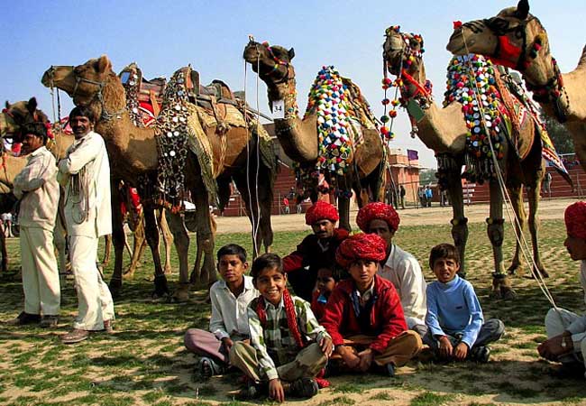 cattle-fair-in-karauli-rajasthan