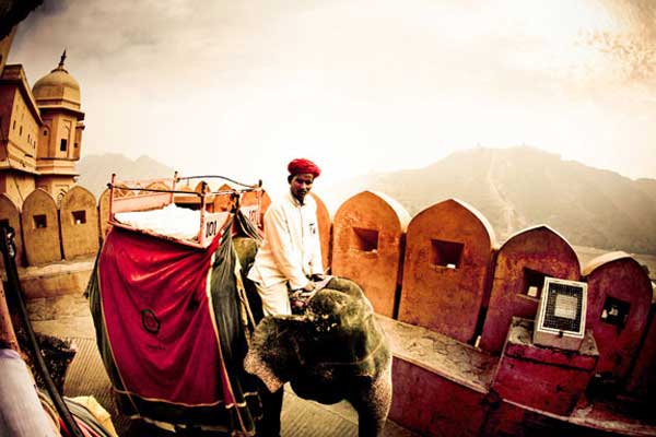 elephant-ride-amber-fort-ja1