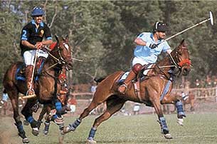 horse_polo