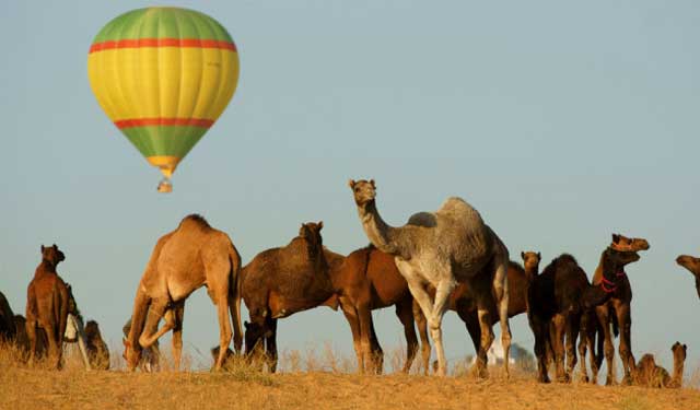 hot-air-ballon-at-pushkar-rajasthan