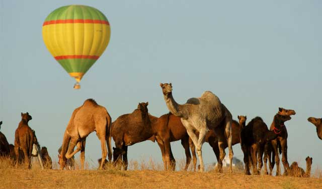 hot-air-ballon-at-pushkar-rajasthan