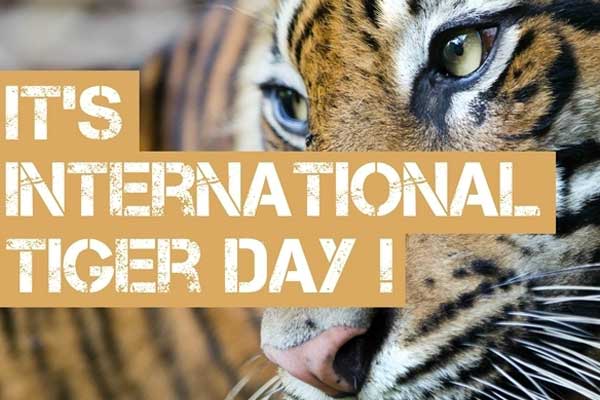 international-tiger-day