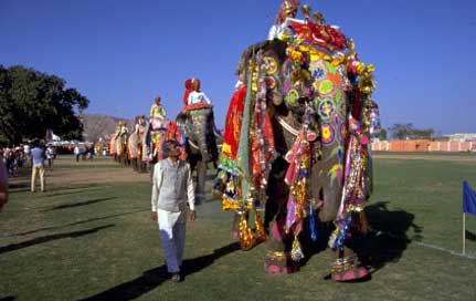 jaipur-elephant-festival