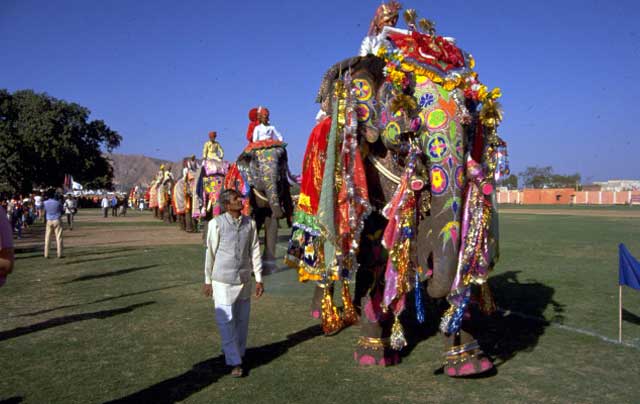 jaipur-elephantfestival