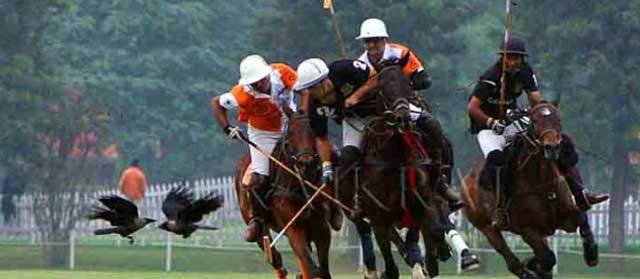 jaipur-polo-season1