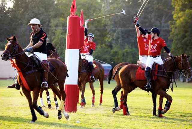 jodhpur-polo-season