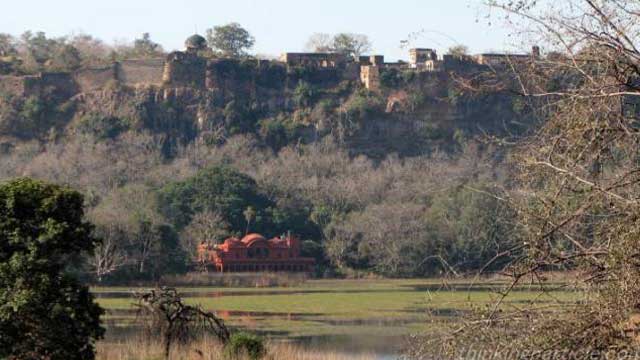 jogi-mahal-and-ranthambore-fort