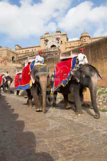 lephant-rides-at-amer-fort