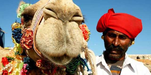 pushkar-camel-festival