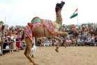 pushkar-fair (1)