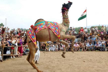 pushkar-fair