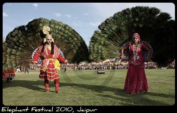 rajasthan-observes