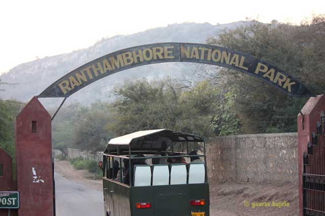 ranthambhore-national-park