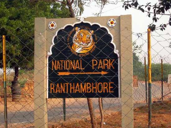 ranthambore-national-park