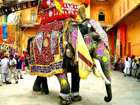 the-colors-of-elephant-festival