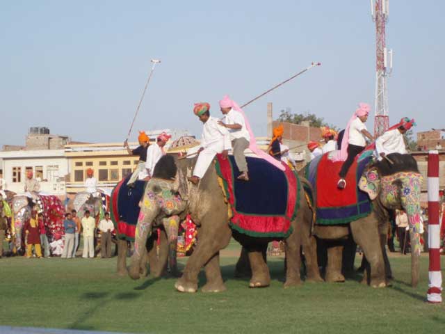 united-against-elephant-polo-banner-2