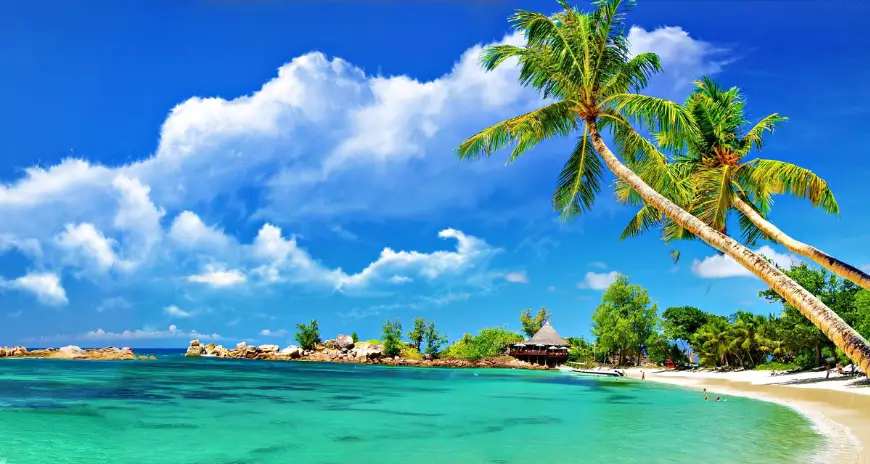 Tropical beach with turquoise water and palm trees