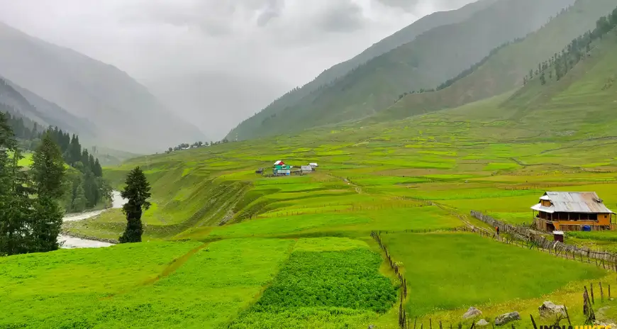 Green valley with terraced fields and mountains in Kashmir