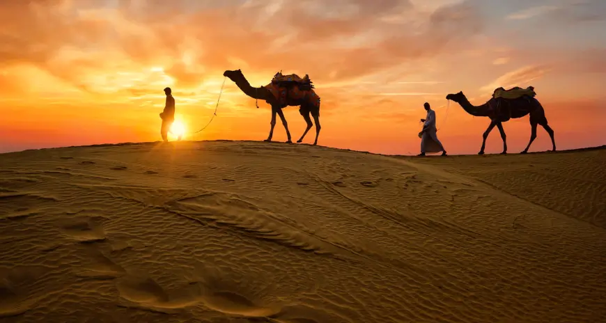 Camel safari in the Jaisalmer desert at sunset